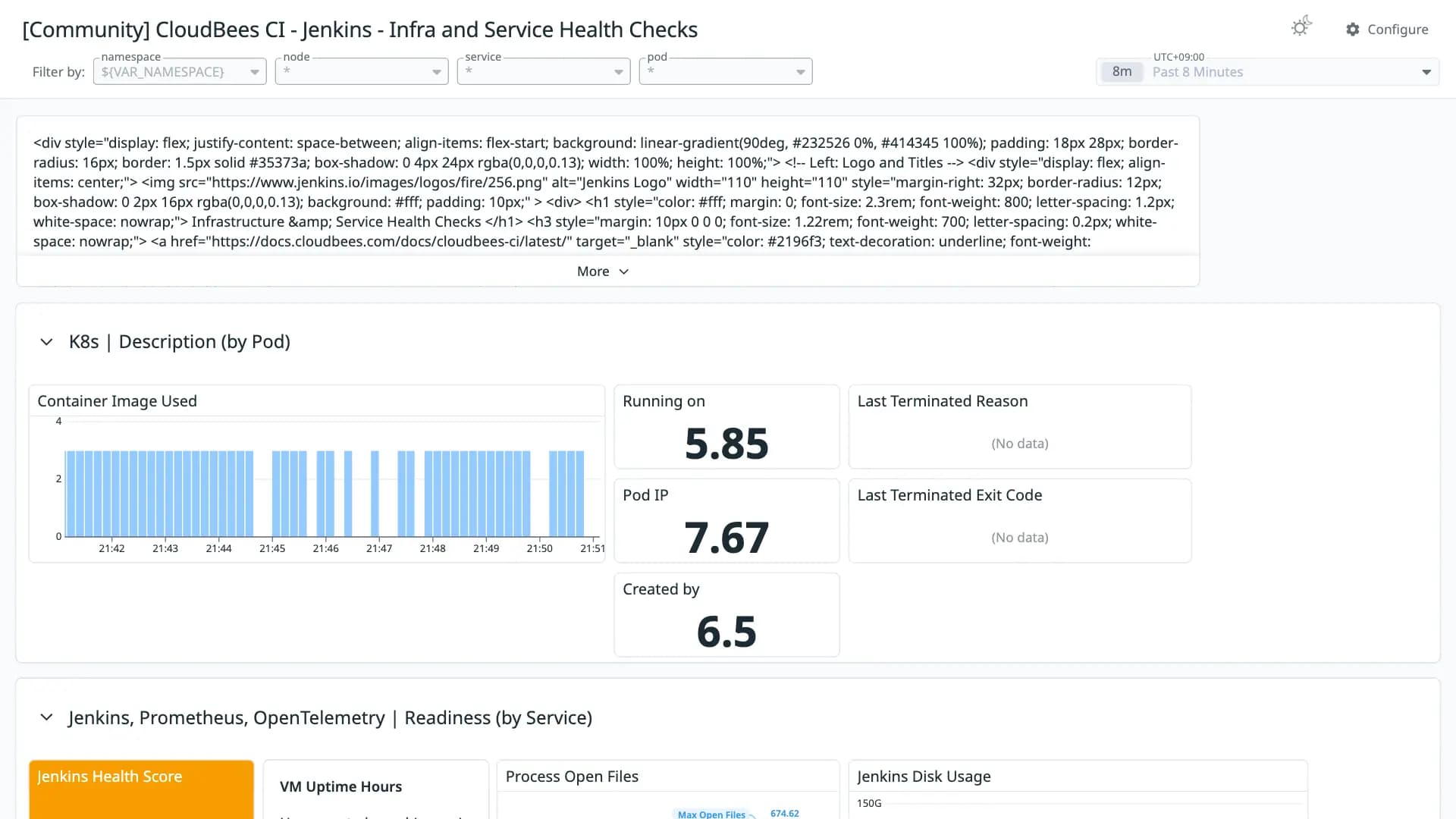 CloudBees CI - Jenkins - Infra and Service Health Checks